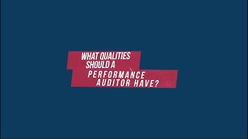 What Qualities Should a Performance Auditor Have?