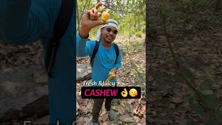 Exploring nature#shortvideo #shortsfeed #shorts #viralvideo #viralshort #shortsviral #viralshorts