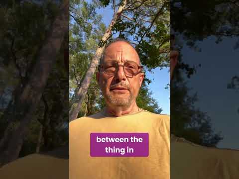 Walk w/ Bart: What Are Parables?