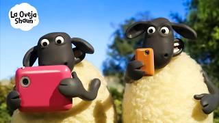 ¿QUÉ ES ESO? 🤯 ¡LAS OVEJAS TIENEN TELÉFONO! 📱🐑 | La Oveja Shaun (Dibujos Animados Para Niños) ¿QUÉ ES ESO? 🤯 ¡LAS OVEJAS TIENEN TELÉFONO! 📱🐑 | La Oveja Shaun (Dibujos Animados Para Niños)
