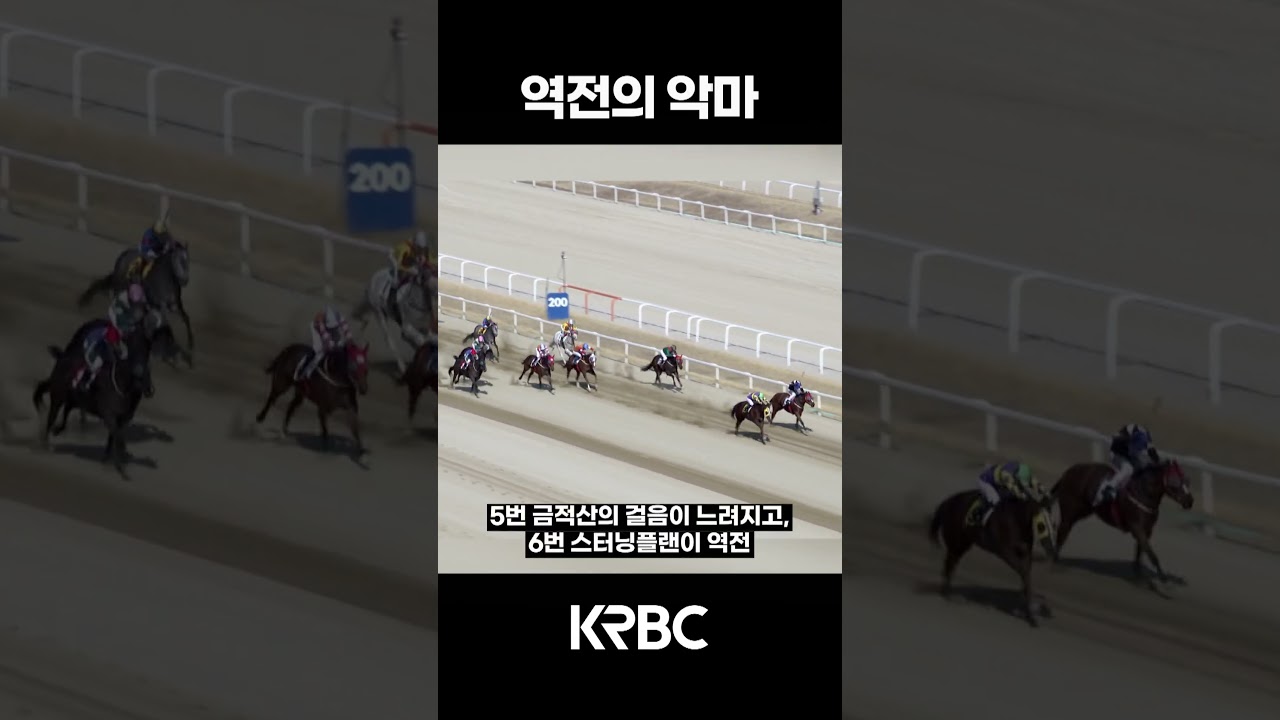 역전은...이런 맛이구나 #shorts #경마방송 #기수 #경주마 #경마 #KoreaHorseRacing