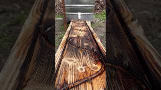 I Made a Natural Bee Water Feeder From a Wooden Board 🐝💧 (Simple &amp; Genius!)#shorts #honey  #viral
