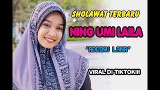 SHOLAWAT TERBARU NING UMI LAILA \