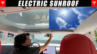 FIRST Electric Sunroof Shades For Tesla Model 3/Y - INSTANTLY Block Light & Sun's Glare! Does Tesla Model 3 Have Sunroof