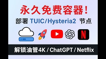 极简TUIC/Hysteria2+多运行环境部署教程，通用freecloudpanel、Lunes host+大部分node.js/python容器|Waifly Hosting已开始封禁代理
