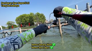 Nemu Spot Bagus Banget, Ikannya Jumbo-jumbo_Pas Buat Mancing Dasaran atau Mancing Pake Pelampung