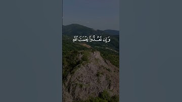 تلاوة نادرة من سورة إبراهيم.. | #المنشاوي #ابراهيم #قرآن #اكسبلور  Al minshawi