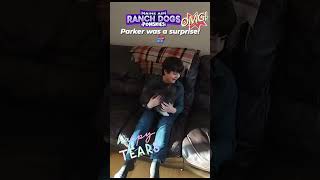 Watch as Parker the pomsky puppy meets his new brother 🐶 😊 🎁#pomskypuppies #pomskybreed #pomskylife by Maine Aim Ranch Dogs 89 views 5 months ago 1 minute, 6 seconds