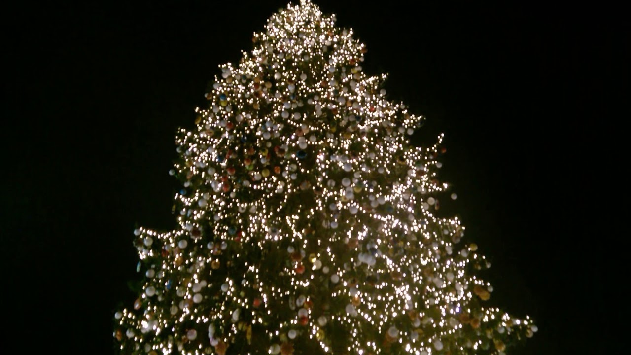 Albero Di Natale Roma.Albero Di Natale 2018 Roma Youtube