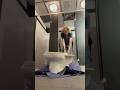 Toilet Repair Flange Plumbing Toilet Frequency Ether 