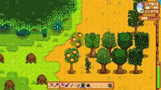 How to get Oranges - Stardew Valley 1.3 Beta screenshot 4