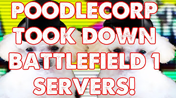 POODLECORP TOOK DOWN BATTLEFIELD 1 SERVERS! DDOS #PoodleCorp #Drama