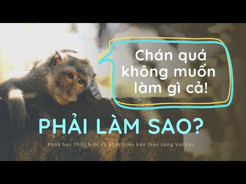 Video: Làm gì khi bạn cảm thấy không muốn làm bài tập?