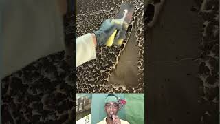 Wall Decoration Process | সিমেন্ট দিয়ে দেয়ালে সুন্দর ডিজাইন করা হচ্ছে #shorts #viralshorts #design