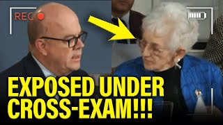 GOP gets EXPOSED under CROSS EXAM at SHUTDOWN HEARING