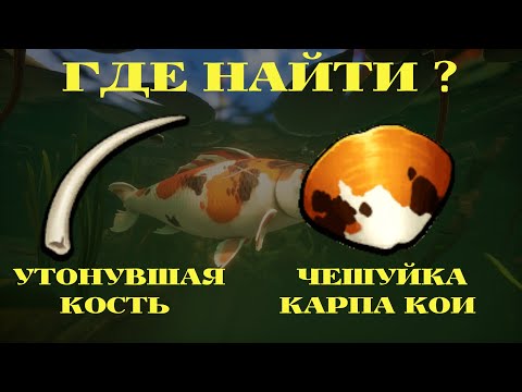 ГДЕ НАЙТИ УТОНУВШУЮ КОСТЬ И ЧЕШУЙКУ КАРПА КОИ GROUNDED