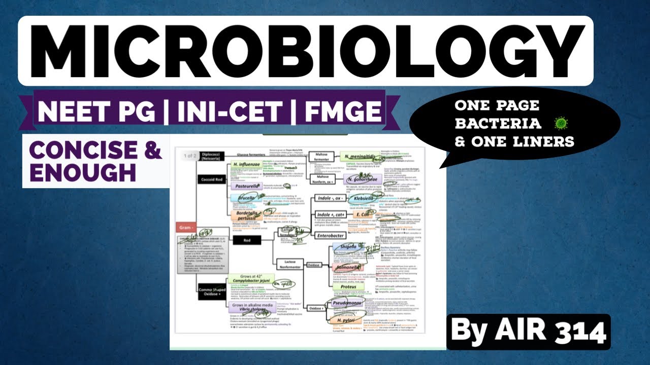 How to Prepare MICROBIOLOGY for NEET PG INI-CET FMGE || One page notes ...