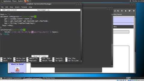 Simple xss keylogger demo
