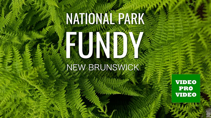 Camping in Fundy National Park, New Brunswick