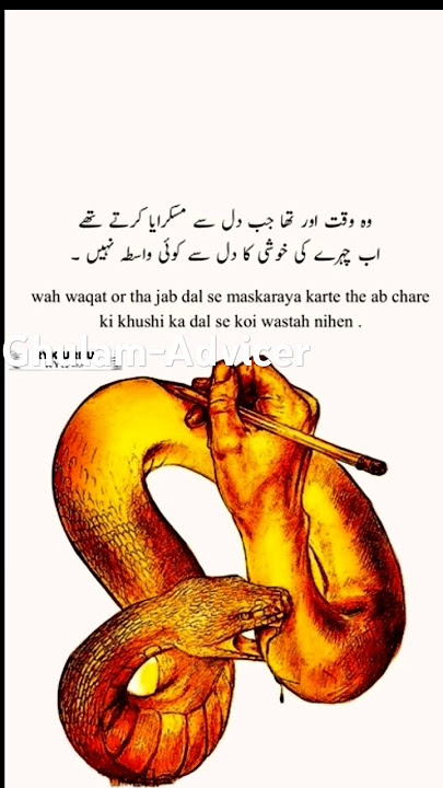 Betal leaf with visible ingredients #quoets_about_life #lifechangingquots#shorts#fyp#viral