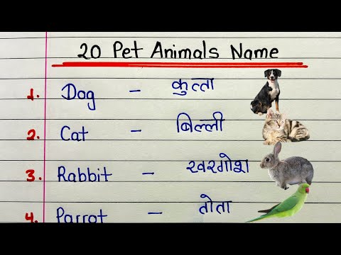 20 Pet animals name in English and Hindi | Learn pet animals | Write and learn pet animals names