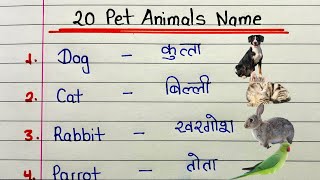 20 Pet animals name in English and Hindi | Learn pet animals | Write and learn pet animals names
