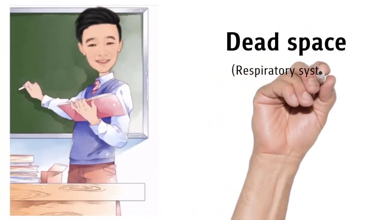 dead space for lungs