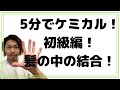 【初心者向けケミカル】美容師のケミカル入門【髪の中の結合】