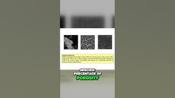 The Science of Cell Attachment in Biomedical Engineering #Biomaterials #Engineering