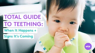 When Babies Start Teething: Signs Your Baby Is Teething, When It'll Happen + More - What to Expect screenshot 1