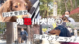 犬と旅行 日光東照宮と江戸ワンダーランド 日光江戸村 でタイムトラベラー気分 鬼怒川犬旅 関東 栃木県観光 車旅 旅するペットショップの売れ残りと元保護犬 ダックス旅行 Youtube