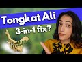 The holy grail for ED, Low T and Infertility?! | Tongkat Ali (Longjack) Benefits