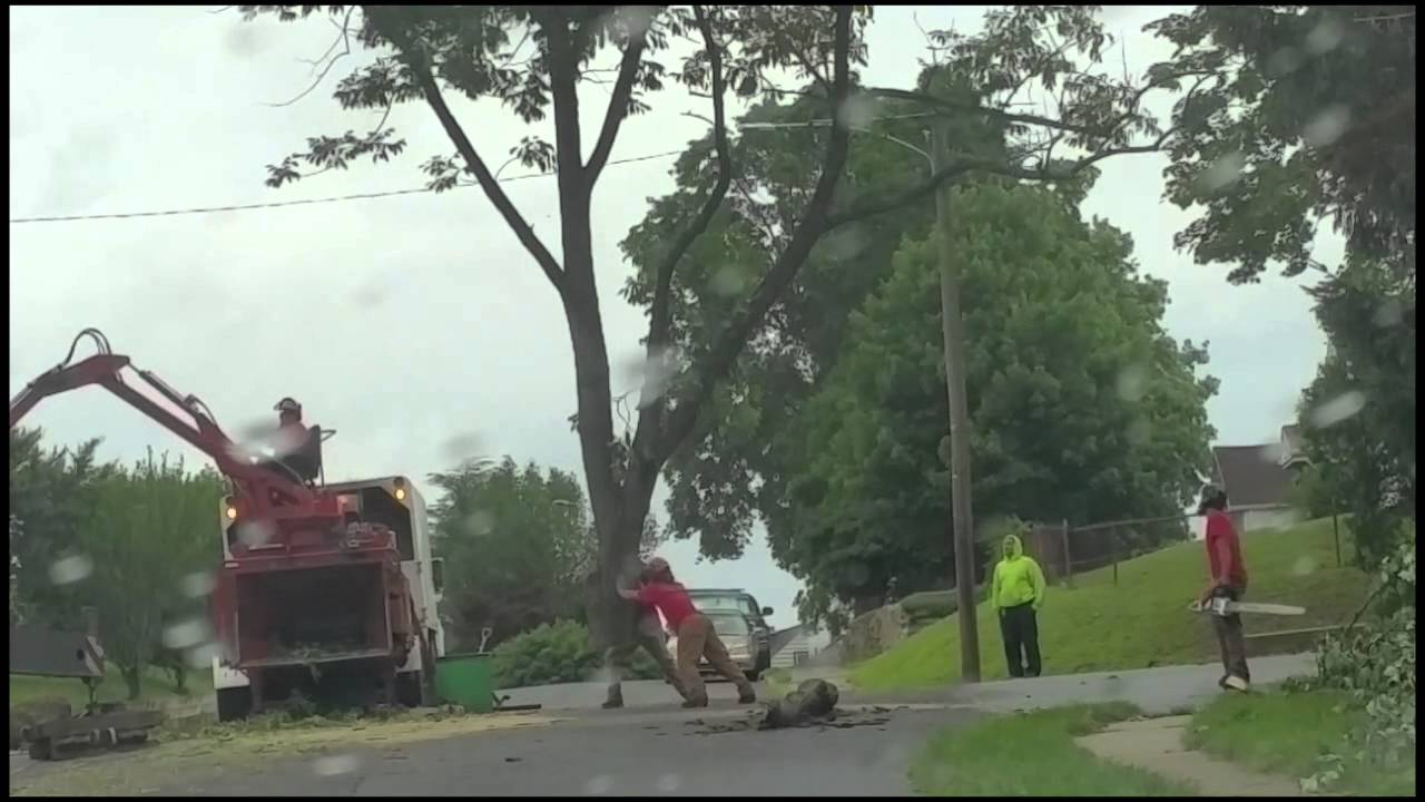 Tree removal with a crane - YouTube