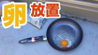 ベランダに卵放置プレイしてみた！　PDS