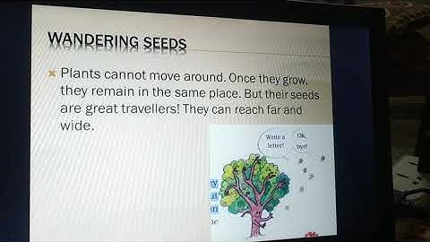 class 5th evs seeds and seeds ch animated ppt
