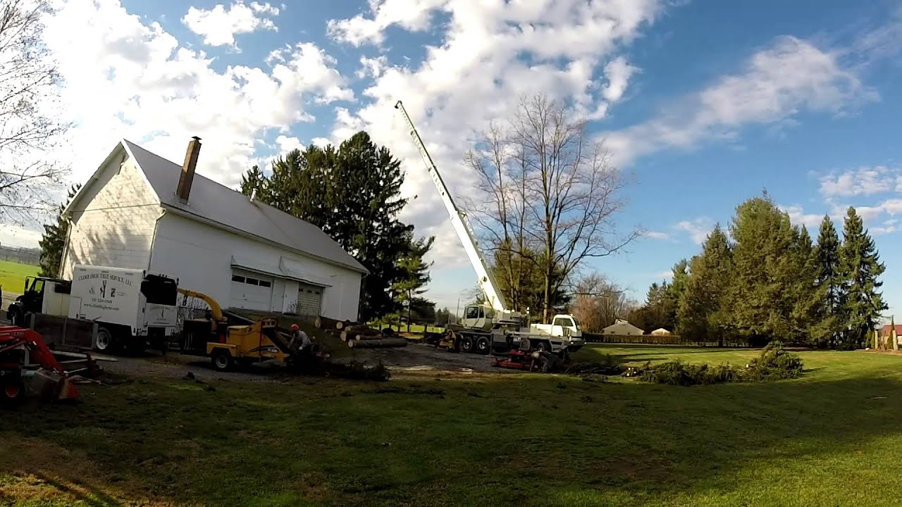 Norway spruce removals with a crane in Lebanon PA by Climb High Tree
