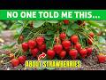 Why Strawberry Is the perfect First Fruit Plant for Every Home Gardener Lover🍓
