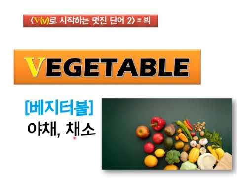 V로 시작하는 멋진 단어 (1) - Youtube