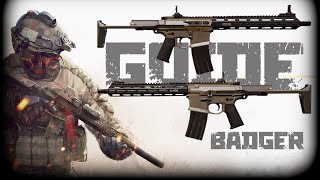 Honey Badger GUN GUIDE Insurgency Sandstorm