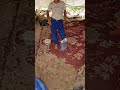 تربية النحل في اليمن محافظة إب تربية النحل في اليمن محافظة إب