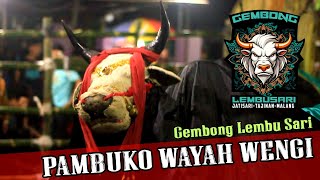 [HD] 👀 Bantengan Pambuko Gembong Lembu Sari Malam di Banjarsari, Bakalan, Bululawang #nendeskombet