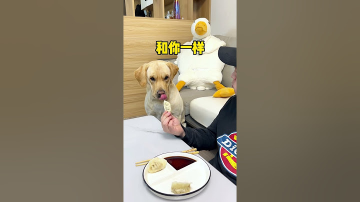 這狗子吃個東西還挺講究