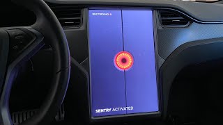 Tesla Sentry Mode LIVE DEMO