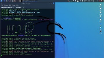 How to Bypass Web Application Firewalls with WhatWaf  || webapplicationsecurity