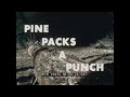 1950s PULP & PAPER INDUSTRY IN GEORGIA    PINE PACKS A PUNCH  MEAD CORPORATION  56834