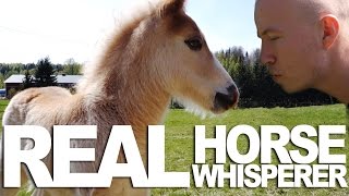 THE REAL HORSE WHISPERER