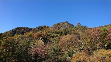 Assembly Planter planting assemblies