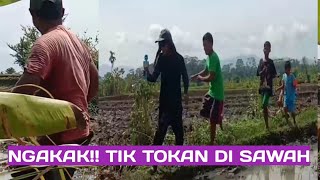 GOYANG TIK TOK DI SAWAH, PAK TANI AUTO KENA SYNDROM JOGET