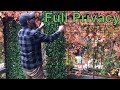 Get year round privacy  with Expandable Faux Ivy Privacy  Fence (SOCIAL DISTANCING)