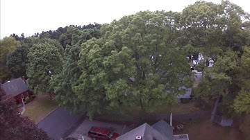 Drone crashes into tree